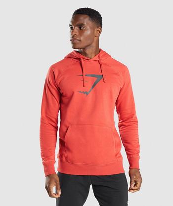 Bluzy Z Kapturem Męskie Gymshark Sharkhead Infill Czerwone | PL 3586SGL